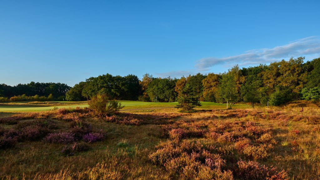 Hole 3